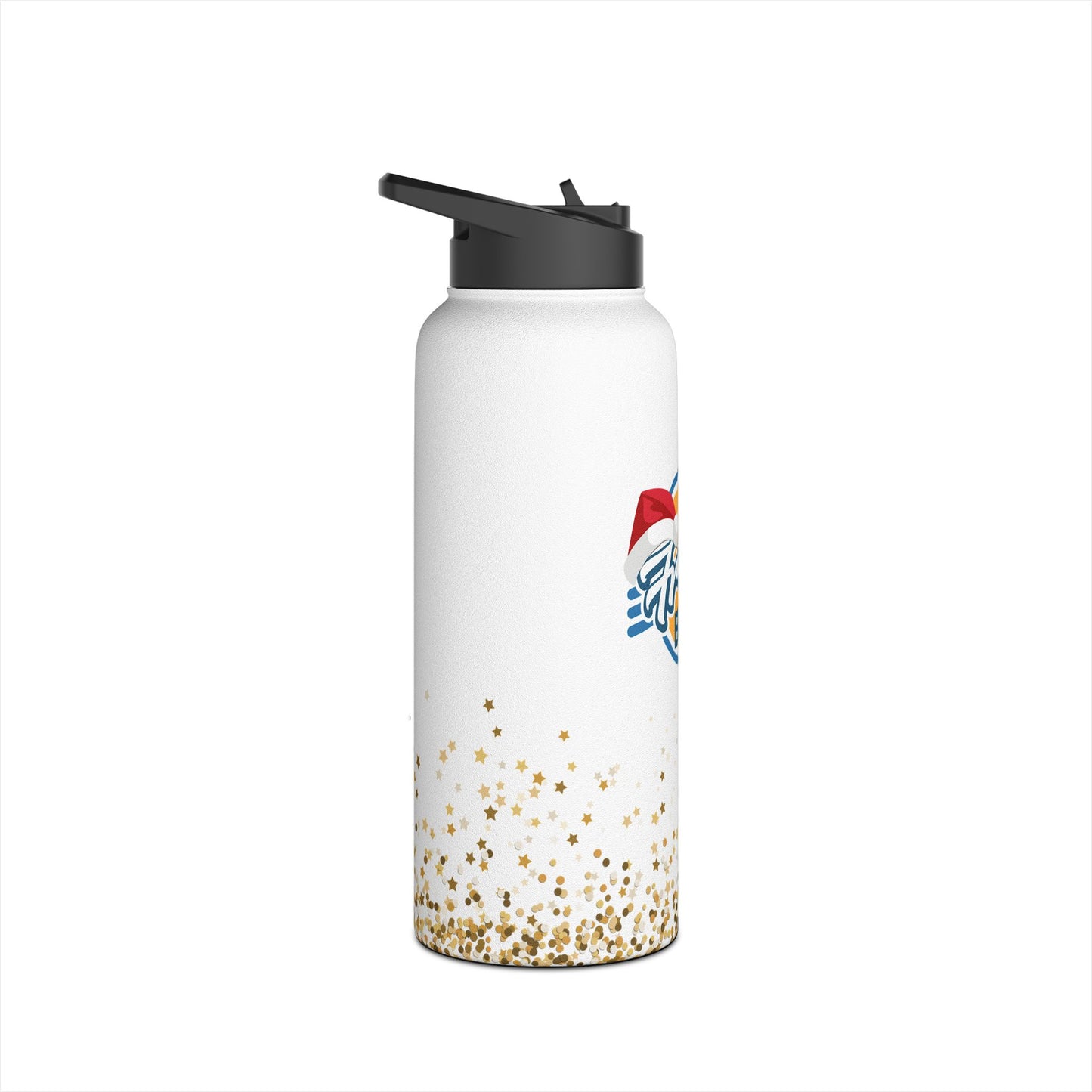 Stainless Steel Water Bottle