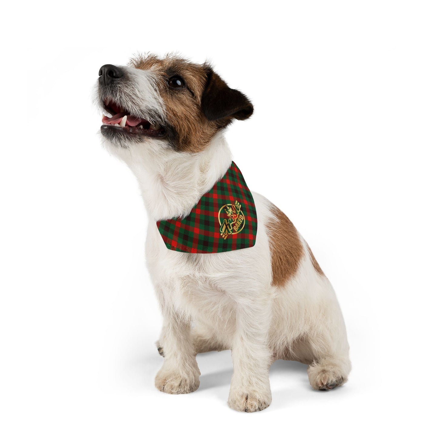 Festive Pet Bandana Collar