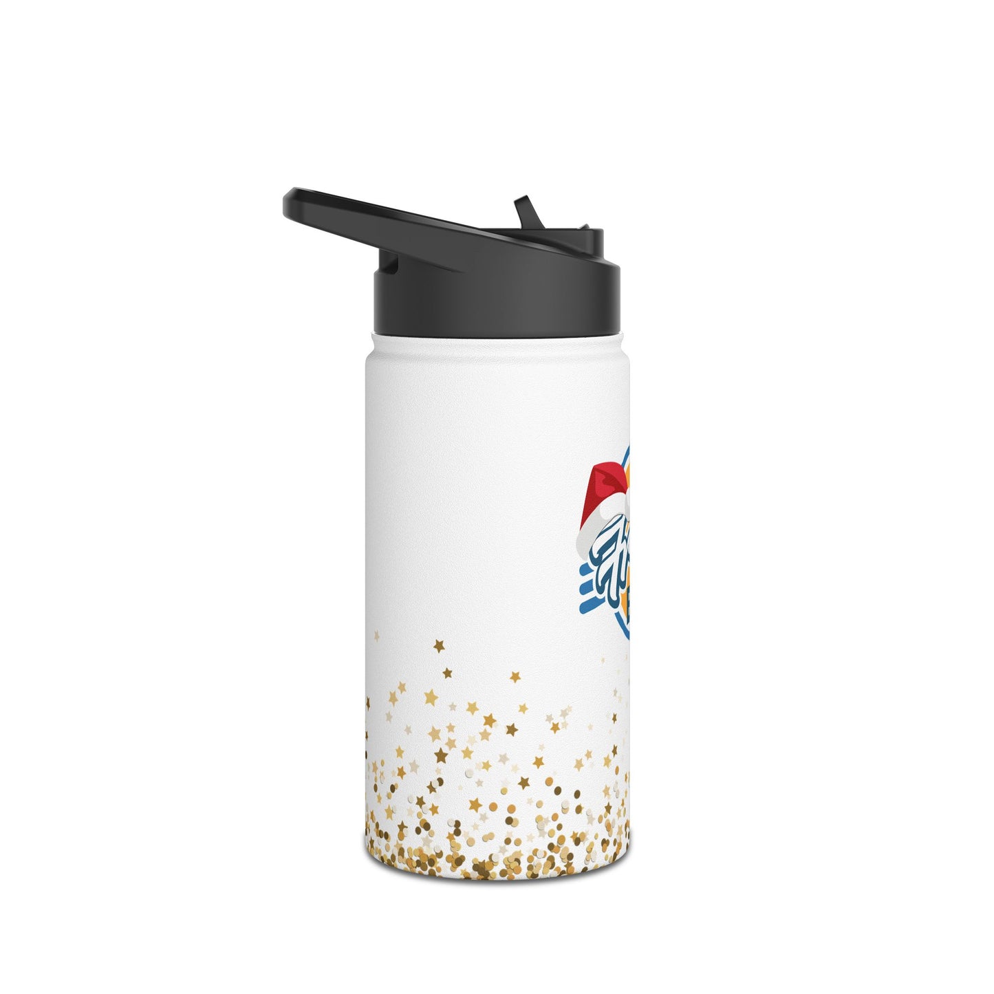 Stainless Steel Water Bottle